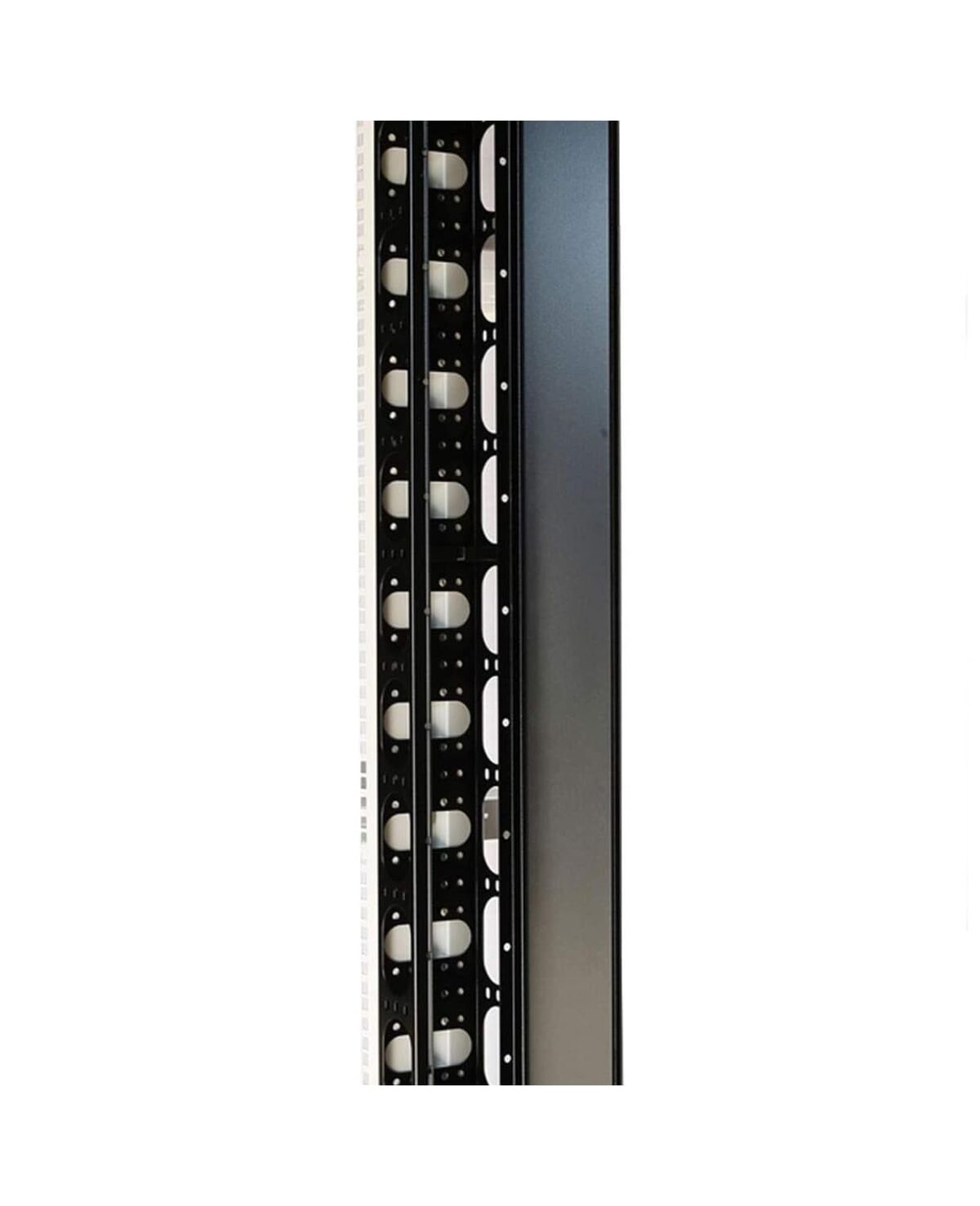 LANTEK-LTK.OV42-Organizador-Vertical-metalico-1pcs-42u-incluye-tornillos-ORGANIZADORES-min.jpg